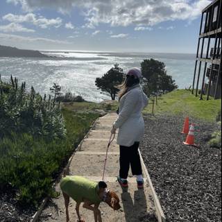 Walking a Canine Companion Along the Shoreline