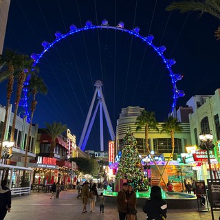 The High Roller Observation Wheel Illuminated at Night
