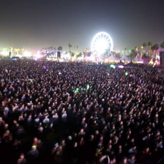 The Ecstatic Crowd at Coachella