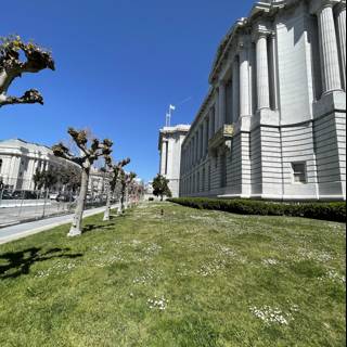A Serene Afternoon at San Francisco City Hall