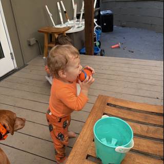 Playful Morning on the Porch