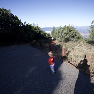 Toddler Explores Summit Trail at Mount Diablo