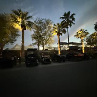 Dusk at the Empire Polo Club