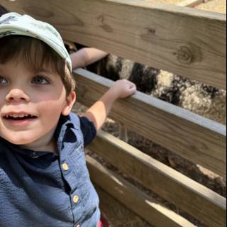 Curious Encounters at Tilden