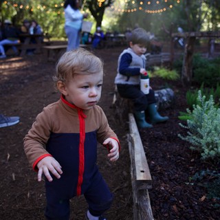 Community garden or outdoor educational facility