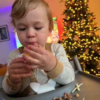 Toddler Enjoying Christmas Treats by the Tree
