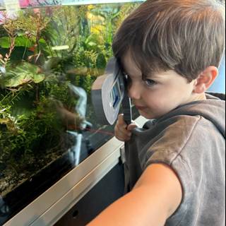 Little Explorer at the Aquarium