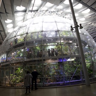 Modern Multi-Level Rainforest Sphere in Contemporary Architecture