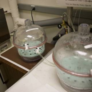 Water Containers in the Lab