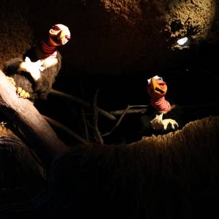 Stuffed Birds Take Refuge in the Dark