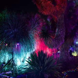 Luminous Night in Nature's Embrace