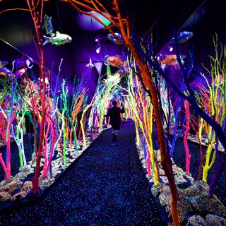 Neon Coral Forest Installation with Suspended Fish Sculptures