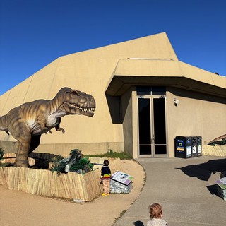 Children Observe Life-Size T-Rex at Natural History Museum