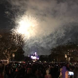 Disneyland Fireworks Spectacular