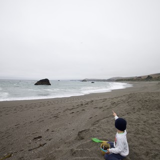 Child Points to the Horizon on a Foggy Coast