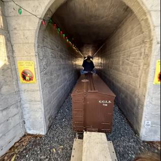 Journey Through the Tunnel