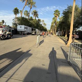 Strolling Under Palm Shadows