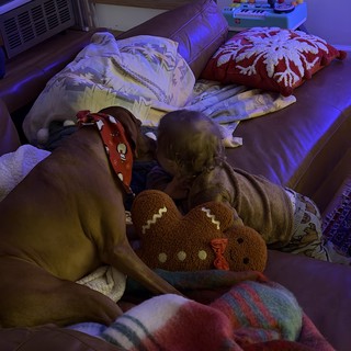 Peaceful Bedtime Routine with Child and Pet Cat