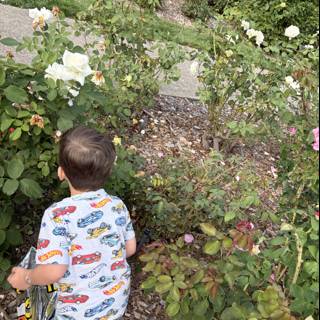 Garden Adventures at Heather Farm Park
