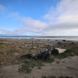 Coastal Serenity at Drakes Beach Elephant Seal Habitat