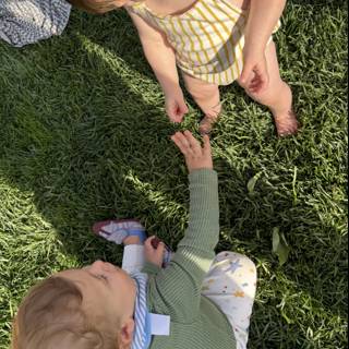 Playful Encounters on the Green