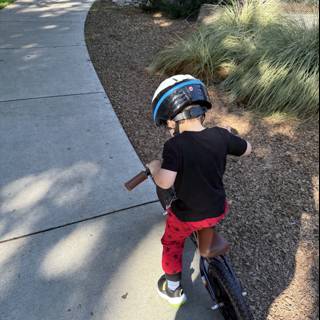 Little Adventurer on Wheels