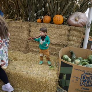 Harvest Playtime