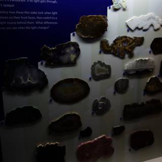 Dazzling Display of Rocks and Minerals