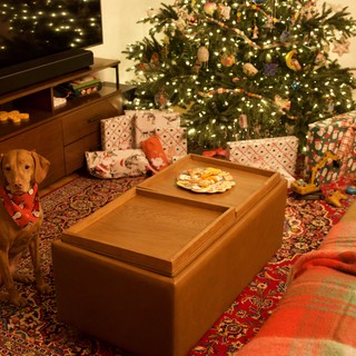 Christmas Morning with a Patient Pup