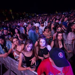 Nighttime Concert Crowd