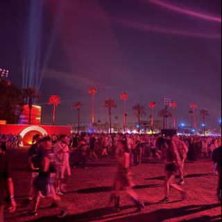 Electric Evening: Festival Vibes
