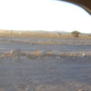 Scenic Drive through the Desert