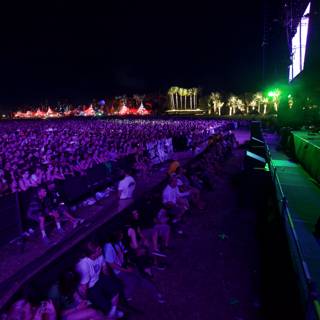 Coachella 2009: The Electric Crowd
