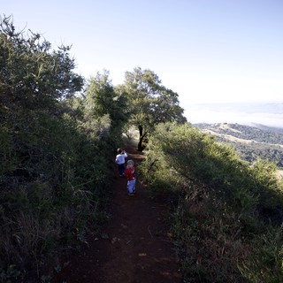 Young Hikers Exploring Mount Diablo's Juniper Canyon Trail