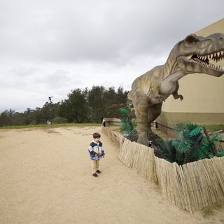 Child Encounters Life-Size T-Rex Display at Hilltop Park