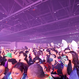 Electric Crowd Surges at Wobbleland Festival 2026