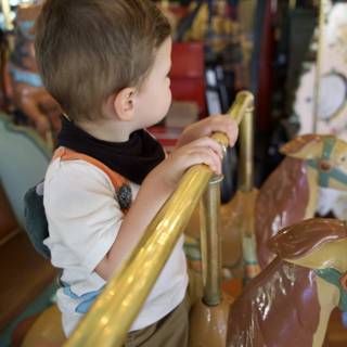 Joyful Rounds at Tilden Park Carousel
