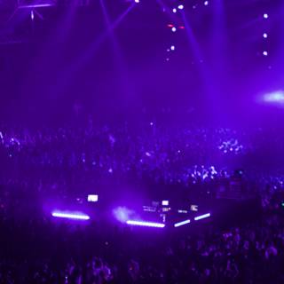 Purple Spotlight Concert Experience