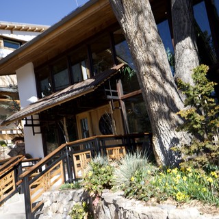 Rustic Mountain Architecture with Ancient Tree Integration