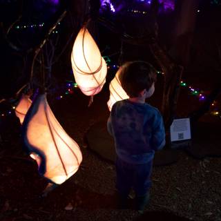 Enchanting Illuminations