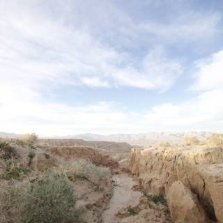 Path Through the Anza-Borrego Desert