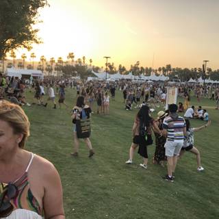Sunset Gathering in the Grass Field