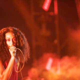Solange Rocks the Natural History Museum Stage