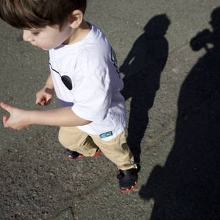 Shadows of Play