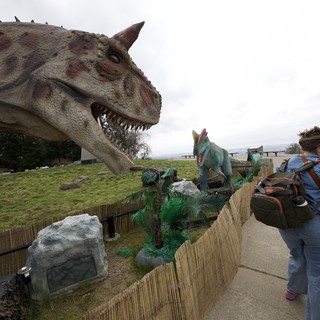 Visitor Observes Life-Size Dinosaur Exhibit on Hilltop
