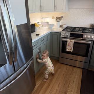 Curious Explorations in the Kitchen