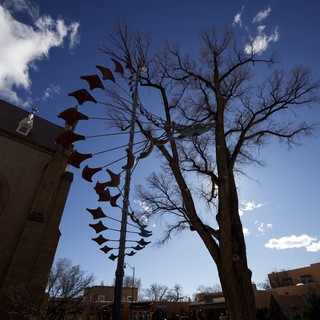 Spiral of Bats Against Desert Sky in Santa Fe