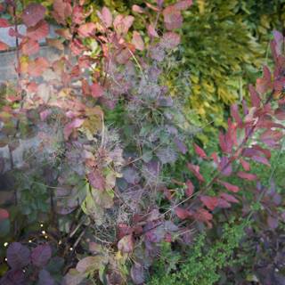 Autumn Splendor at Thistlewyck