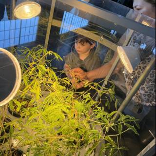 Curious Glances at Green Wonders