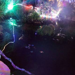 Enchanted Aquatic Glow